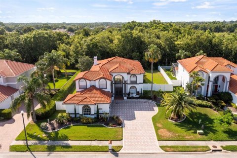 House in Lutz, Florida 5 bedrooms, 346.15 sq.m. № 1194722 - photo 3