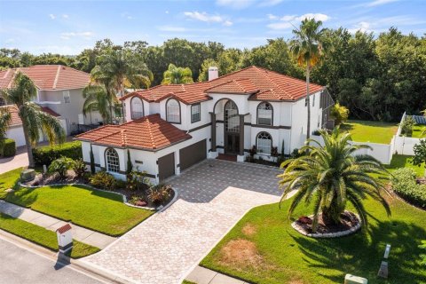 Villa ou maison à vendre à Lutz, Floride: 5 chambres, 346.15 m2 № 1194722 - photo 2