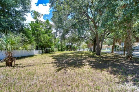 Terreno en venta en Tampa, Florida № 1320574 - foto 1