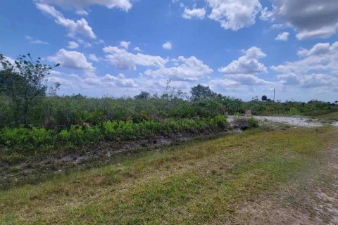 Land in Okeechobee, Florida № 1215948 - photo 5