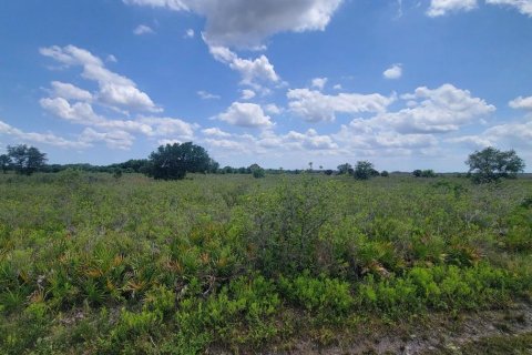 Land in Okeechobee, Florida № 1215948 - photo 2