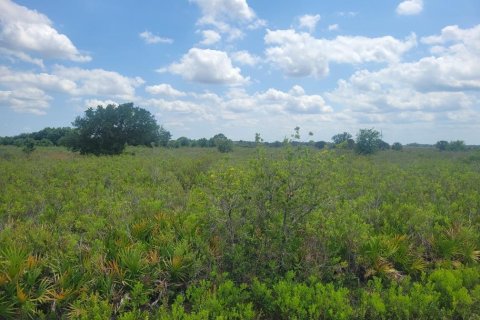 Land in Okeechobee, Florida № 1215948 - photo 3