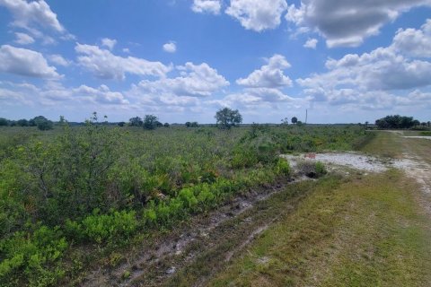 Land in Okeechobee, Florida № 1215948 - photo 4