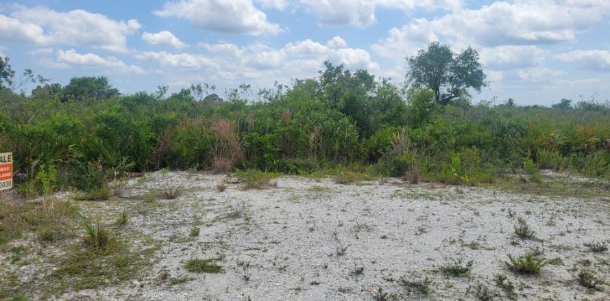 Land in Okeechobee, Florida № 1215948