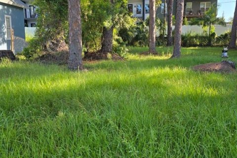 Terreno en venta en Saint Petersburg, Florida № 1373270 - foto 3