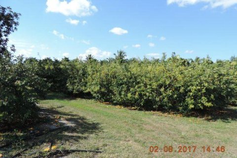 Terreno en venta en Davie, Florida № 1188768 - foto 2