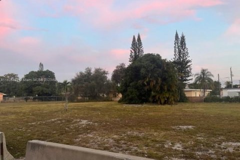 Купить земельный участок в Халландейл-Бич, Флорида № 666699 - фото 1