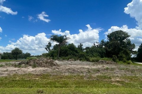 Купить земельный участок в Себринг, Флорида № 1111322 - фото 3