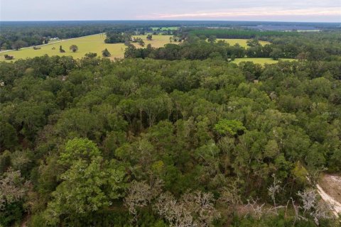 Terreno en venta en Fort White, Florida № 1389073 - foto 8