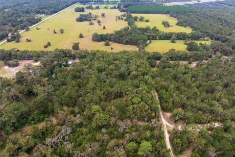 Terreno en venta en Fort White, Florida № 1389073 - foto 9