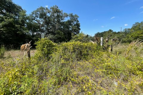 Land in Okeechobee, Florida № 1207509 - photo 4