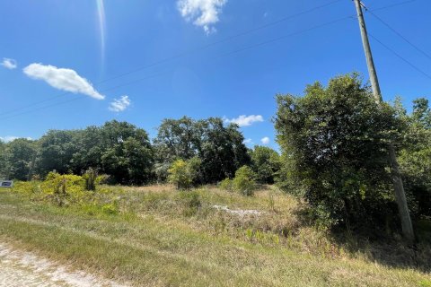 Land in Okeechobee, Florida № 1207509 - photo 1