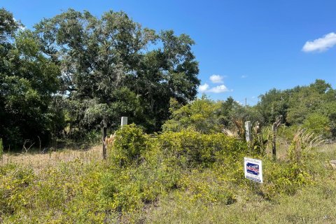 Land in Okeechobee, Florida № 1207509 - photo 3