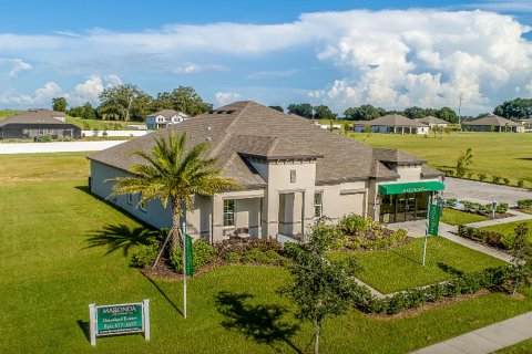 GRACELAND ESTATES sobre plano en Thonotosassa, Florida № 197304 - foto 3