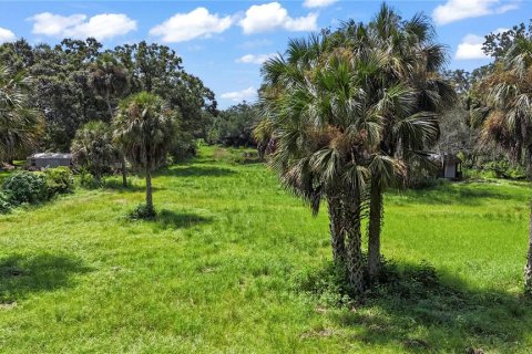 Terreno en venta en Plant City, Florida № 1337898 - foto 4