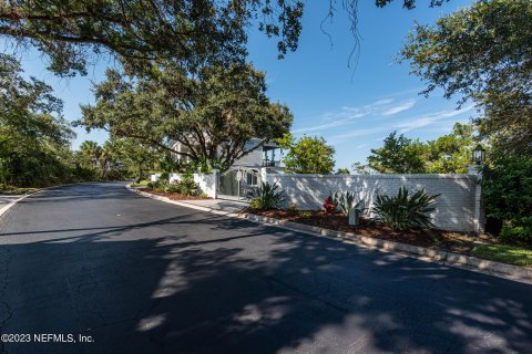 Villa ou maison à vendre à Saint Augustine, Floride: 4 chambres, 555.37 m2 № 772244 - photo 9