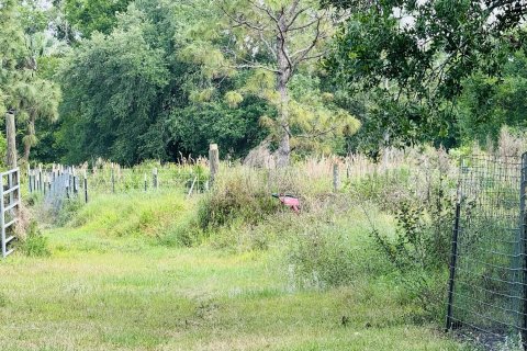 Land in Okeechobee, Florida № 1120110 - photo 4