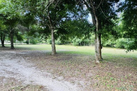Купить земельный участок в Окичоби, Флорида № 1120110 - фото 8
