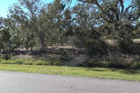 Terreno en venta en North Port, Florida № 235042 - foto 8