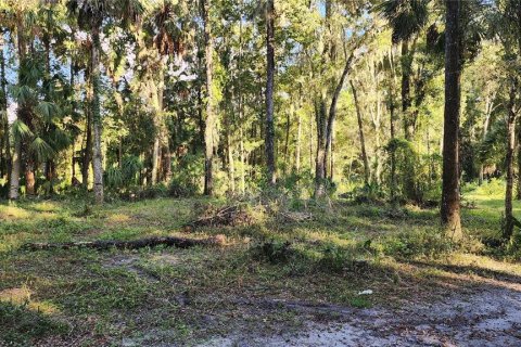 Terrain à vendre à Brooksville, Floride № 1377893 - photo 4