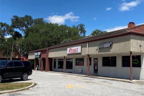 Commercial property in Lakeland, Florida 657 sq.m. № 1140497 - photo 2
