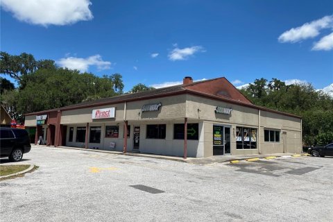 Commercial property in Lakeland, Florida 657 sq.m. № 1140497 - photo 1