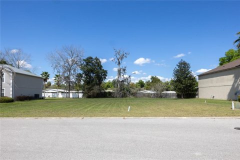 Terrain à vendre à Ocala, Floride № 1082757 - photo 2