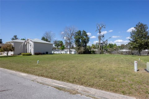 Terreno en venta en Ocala, Florida № 1082757 - foto 1