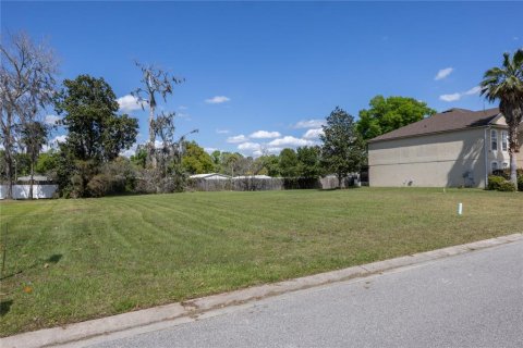 Terrain à vendre à Ocala, Floride № 1082757 - photo 3