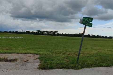 Land in Homestead, Florida № 641814 - photo 3