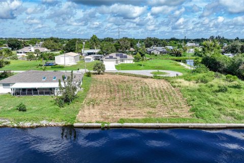 Land in Punta Gorda, Florida № 1361713 - photo 7