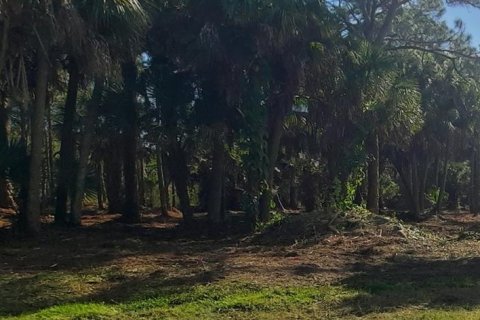 Terreno en venta en Englewood, Florida № 982384 - foto 1