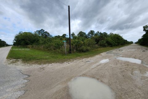 Terreno en venta en LaBelle, Florida № 1235313 - foto 6