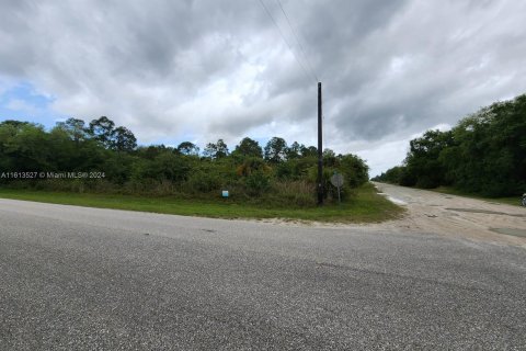 Terreno en venta en LaBelle, Florida № 1235313 - foto 1