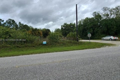 Terreno en venta en LaBelle, Florida № 1235313 - foto 4