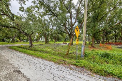 Terreno en venta en Tampa, Florida № 1409885 - foto 7