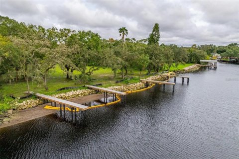 Terreno en venta en Tampa, Florida № 1409885 - foto 4