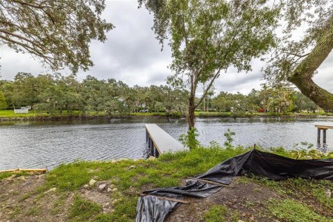 Terreno en venta en Tampa, Florida № 1409885 - foto 11