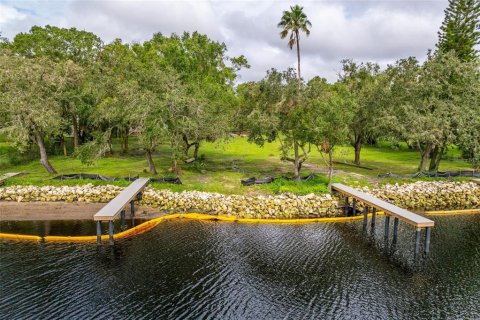 Terreno en venta en Tampa, Florida № 1409885 - foto 5