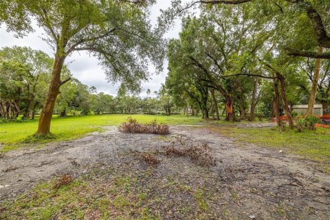 Terreno en venta en Tampa, Florida № 1409885 - foto 8