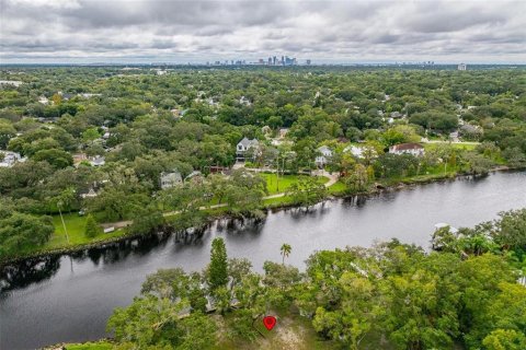 Land in Tampa, Florida № 1409885 - photo 6