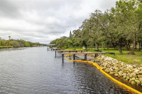 Terreno en venta en Tampa, Florida № 1409885 - foto 15