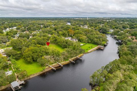 Terreno en venta en Tampa, Florida № 1409865 - foto 7