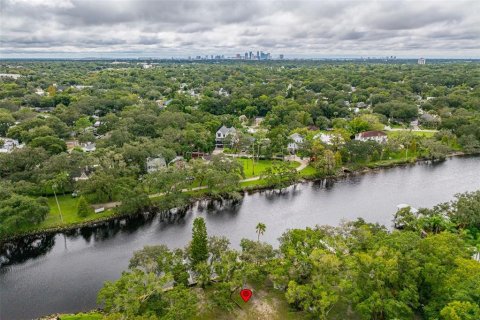 Land in Tampa, Florida № 1409865 - photo 16