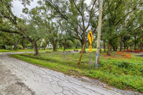 Terreno en venta en Tampa, Florida № 1409865 - foto 17