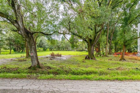 Terrain à vendre à Tampa, Floride № 1409865 - photo 29