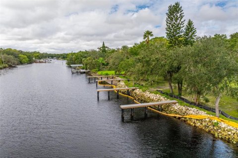 Terreno en venta en Tampa, Florida № 1409865 - foto 8