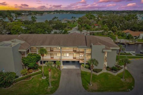 Copropriété à vendre à Port Richey, Floride: 2 chambres, 95.22 m2 № 1359696 - photo 2