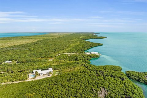 Villa ou maison à vendre à Key Largo, Floride: 5 chambres, 407.38 m2 № 782904 - photo 9