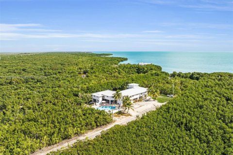Villa ou maison à vendre à Key Largo, Floride: 5 chambres, 407.38 m2 № 782904 - photo 7